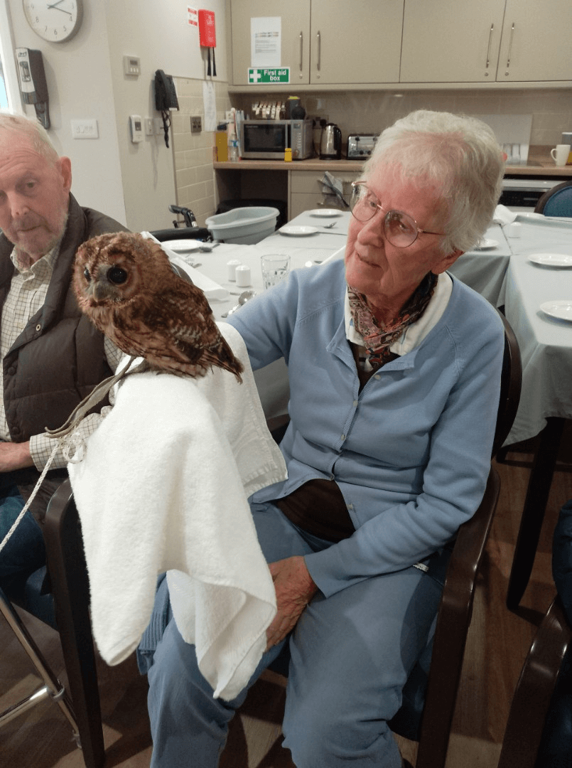 Rownhams Manor Residents Receive Special Visit From Their Feathered ...
